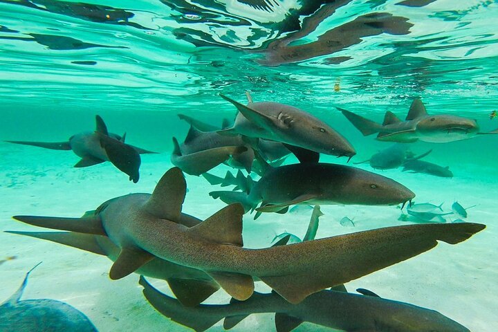 Maldives Adventure Trip